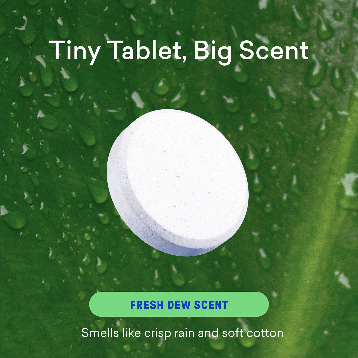 Laundry Detergent Starter Set